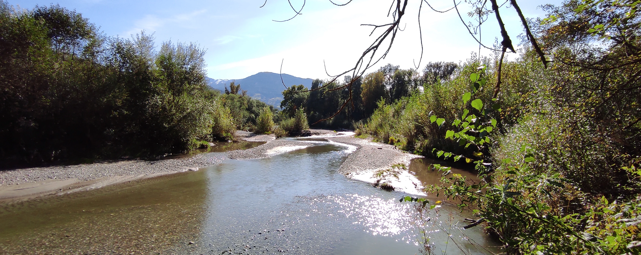 Ein ruhiger Fluss schlängelt sich durch ein Kiesbett, flankiert von üppigem Grün und Bergen im Hintergrund. Sonnenlicht spiegelt sich im Wasser, und Äste rahmen das obere Bild.