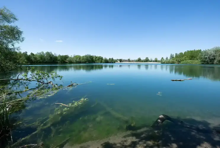 A bright blue sky is reflected in the water, which is part of the fish migration aid near Abwinden-Asten.