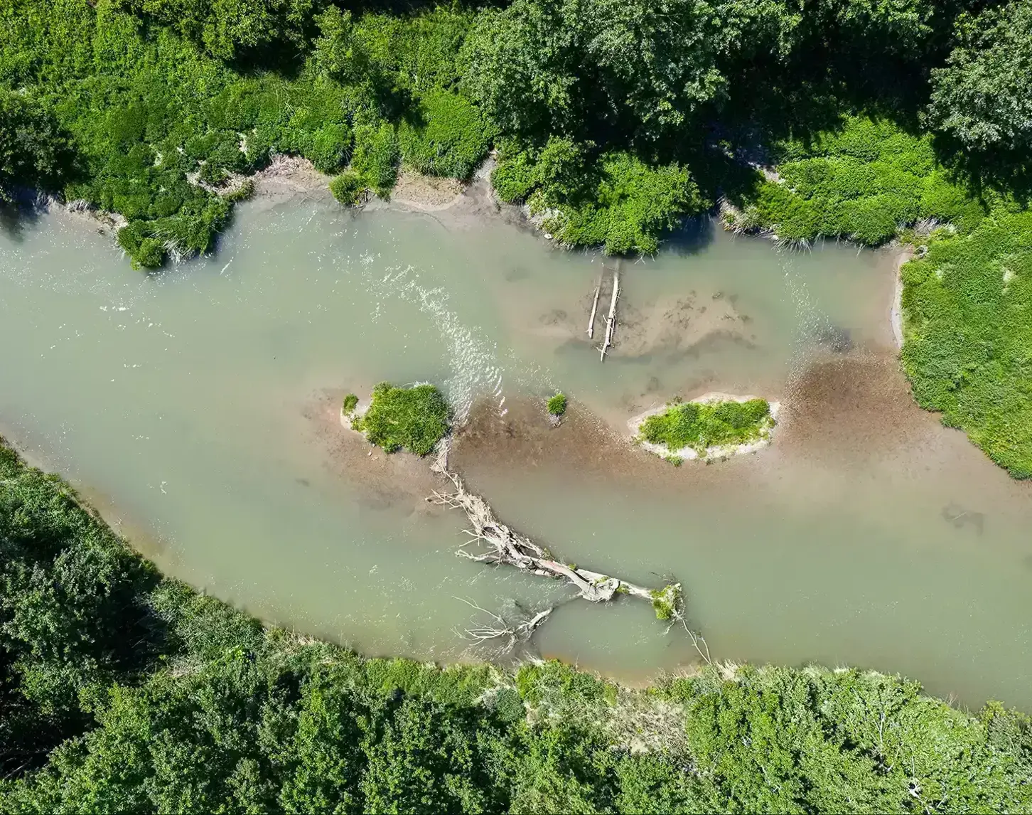 The picture shows part of the Ottensheim Wilhering fish migration aid after completion. Bushes and trees line the watercourse.