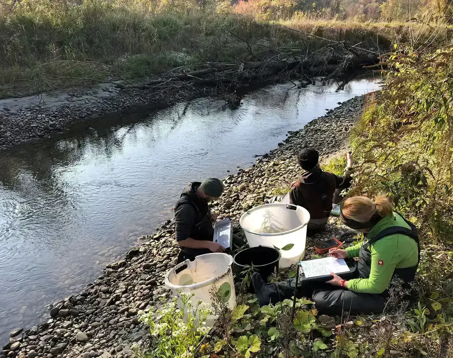 Einige junge Leute führen am Ufer des Flusses ein Fischmonitoring durch. Das Setting ist herbstlich.