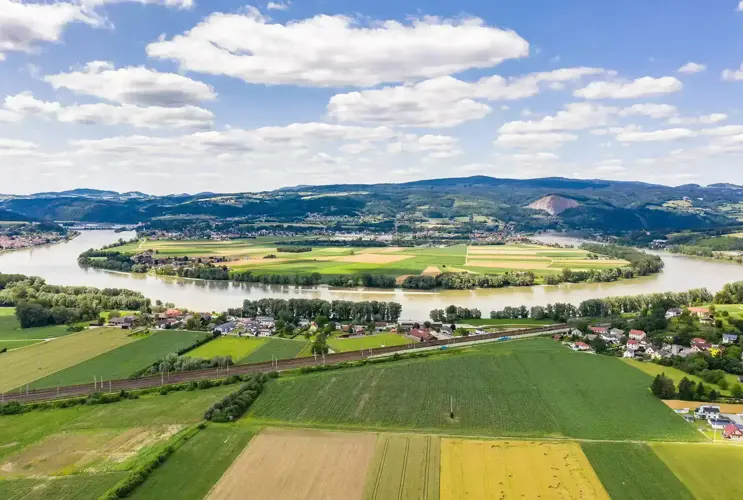 At the so-called Ybbser Scheibe in the root of the Melk power station dam, new gravel banks have improved the living conditions for various fish species.