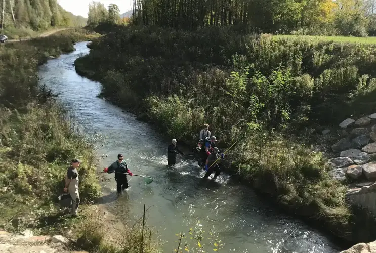 Some young people are working at the Greifenstein fish migration aid to carry out fish monitoring.