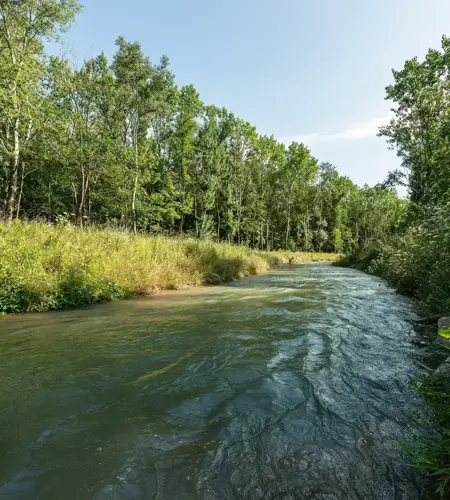 The new fish migration aid at the Greifenstein power station makes its way through fauna and flora.